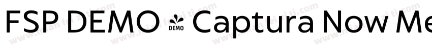 FSP DEMO - Captura Now Medium字体转换